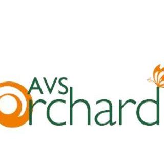 Avs45 Orchard